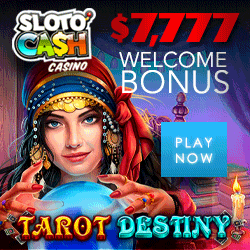 Slotocash $31 Free Spin to
                                        Win Slot