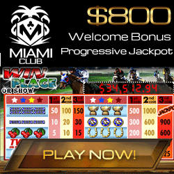 Miami Club
                                100 Free Spins